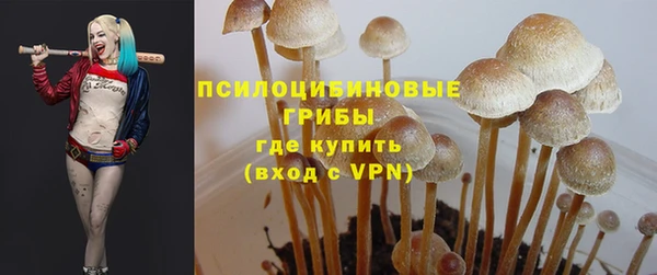ПСИЛОЦИБИНОВЫЕ ГРИБЫ Армянск