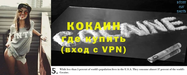 ПСИЛОЦИБИНОВЫЕ ГРИБЫ Армянск