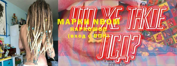 твердый Аркадак