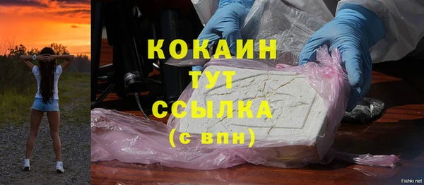 твердый Аркадак