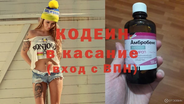 твердый Аркадак