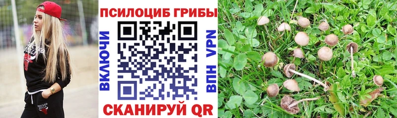 наркошоп  Бронницы  Галлюциногенные грибы прущие грибы 